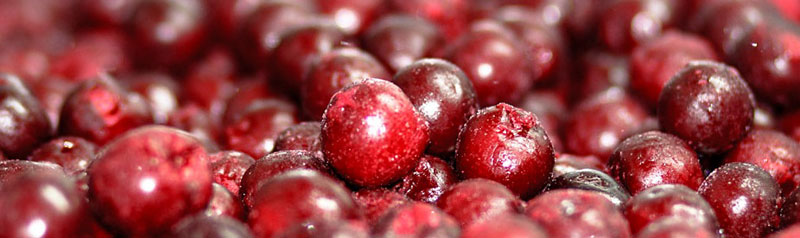 IQF Organic Sour Cherries