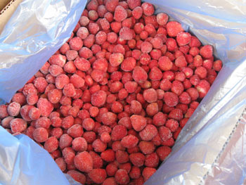 IQF Organic Strawberries