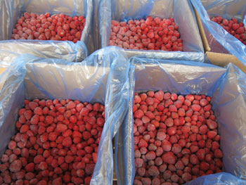 IQF Organic Strawberries