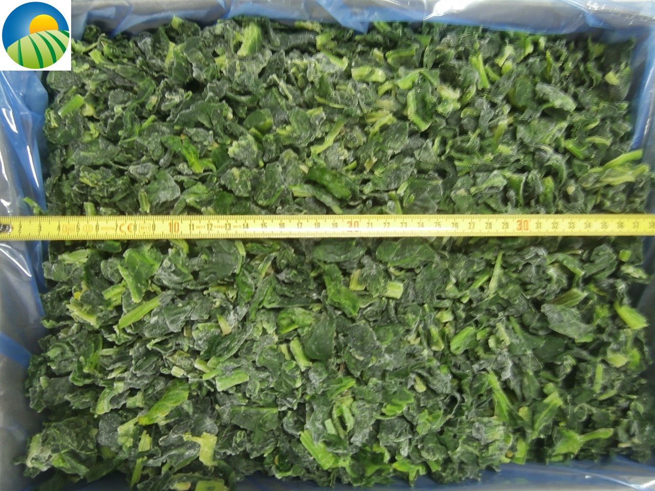 IQF Organic spinach IQF Organic spinach