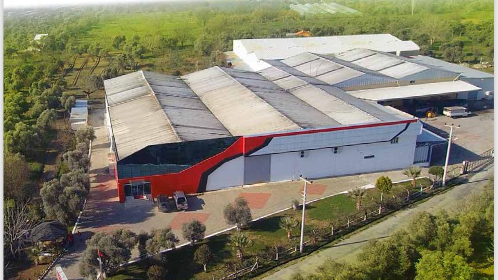 Our fruit processing and packing plants