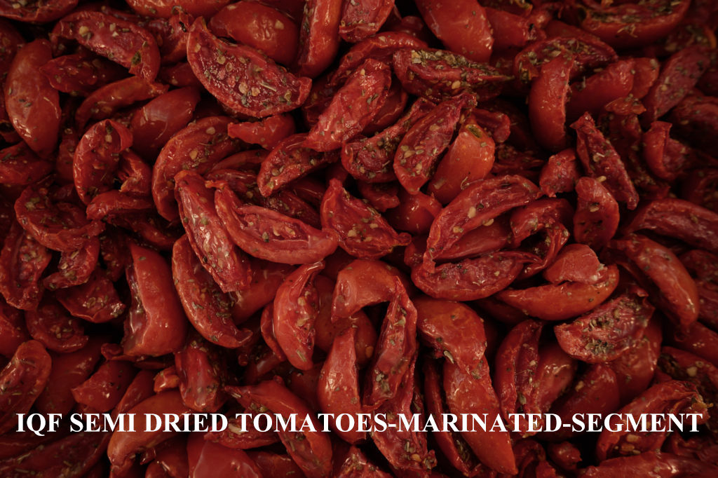 semi-marinated-segment-1024×682