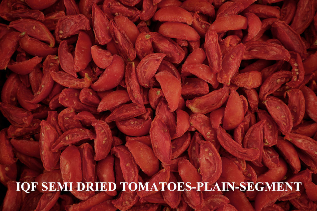semi-plain-segment-1024×682