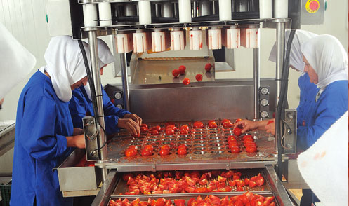 semidry-tomatoes-production04