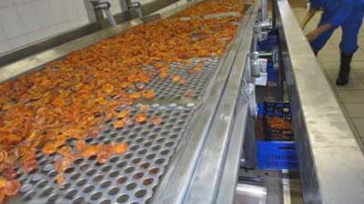 Processing Dried Apricots