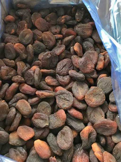 Natural Dried Apricots Bulk packing