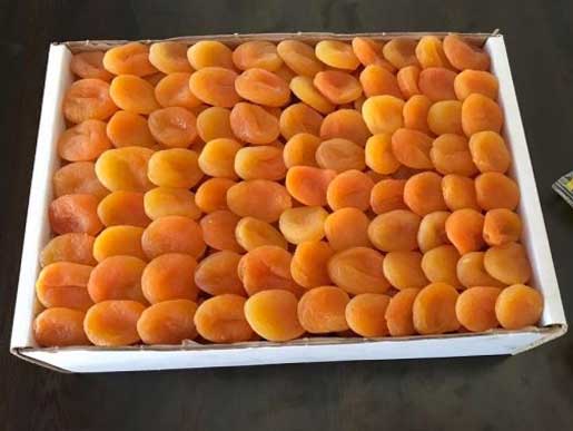 Dried Apricots Bulk packing