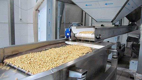 Hazelnut Production
