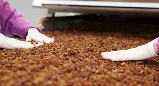 Organic Sultana Raisin