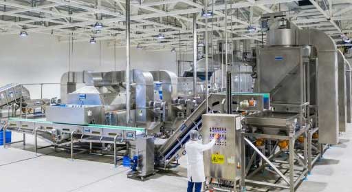 raisin-processing