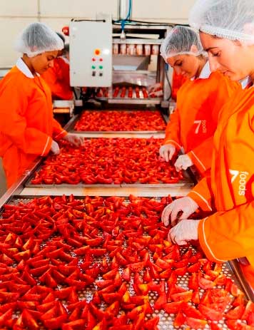semi-dried-tomatoes