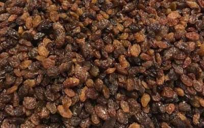 Sultana Raisins, Type no 9